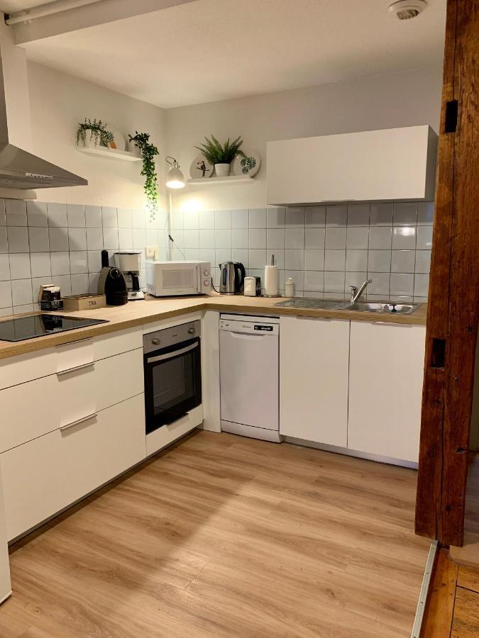 Appartements Des 2 Tetes กอลมาร์ ภายนอก รูปภาพ
