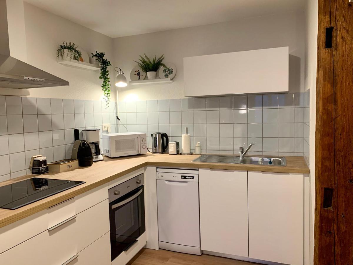 Appartements Des 2 Tetes กอลมาร์ ภายนอก รูปภาพ