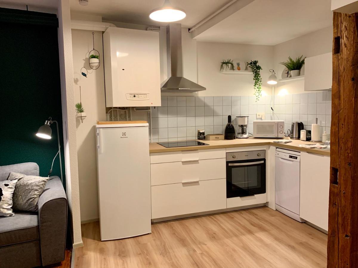 Appartements Des 2 Tetes กอลมาร์ ภายนอก รูปภาพ